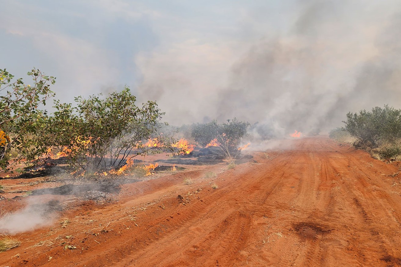 A large bushfire has been burning near Tennant Creek in the Northern Territory. 