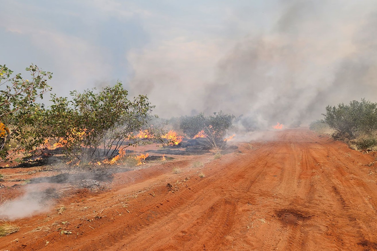 A large bushfire has been burning near Tennant Creek in the Northern Territory.