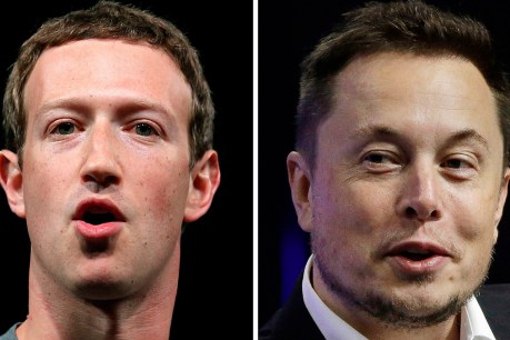 Elon Musk, Mark Zuckerberg, Bill Gates join US senators for AI forum