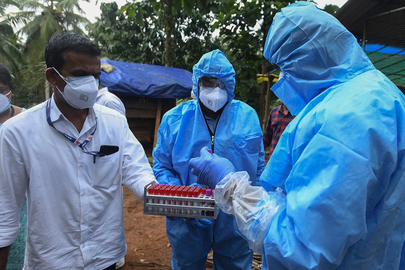 The Nipah virus is transmitted through contact with bodily fluids of infected bats, pigs or people. 