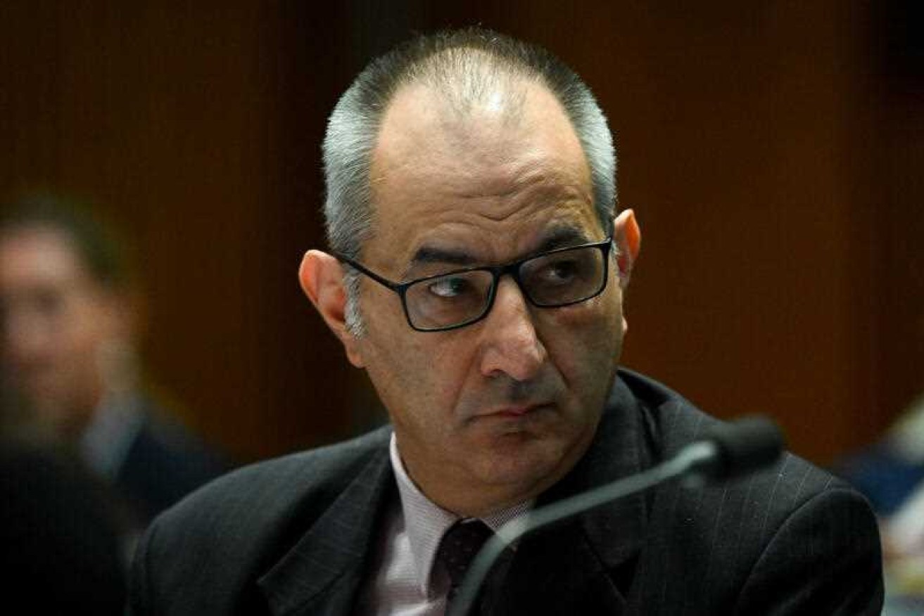 Home Affairs secretary Mike Pezzullo has agreed to stand down over leaked text messages.