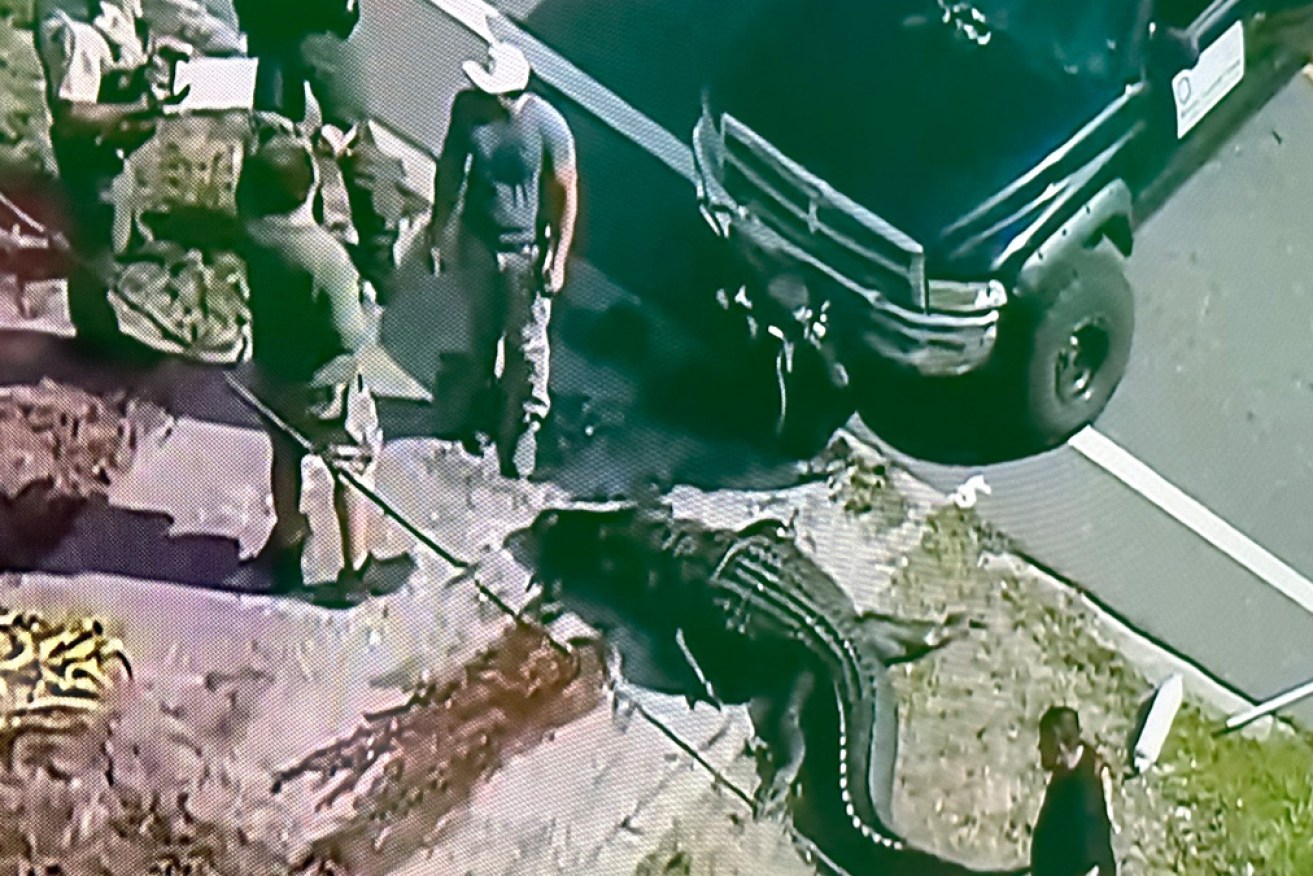The alligator was euthanised after the grisly discovery.