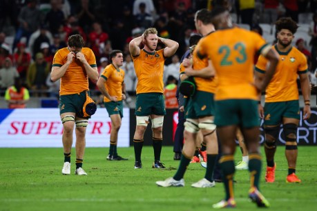 Battered Wallabies sink to new low in world rankings