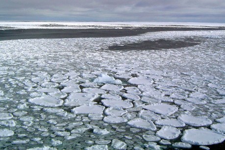 Antarctic winter sea ice hits record-low level