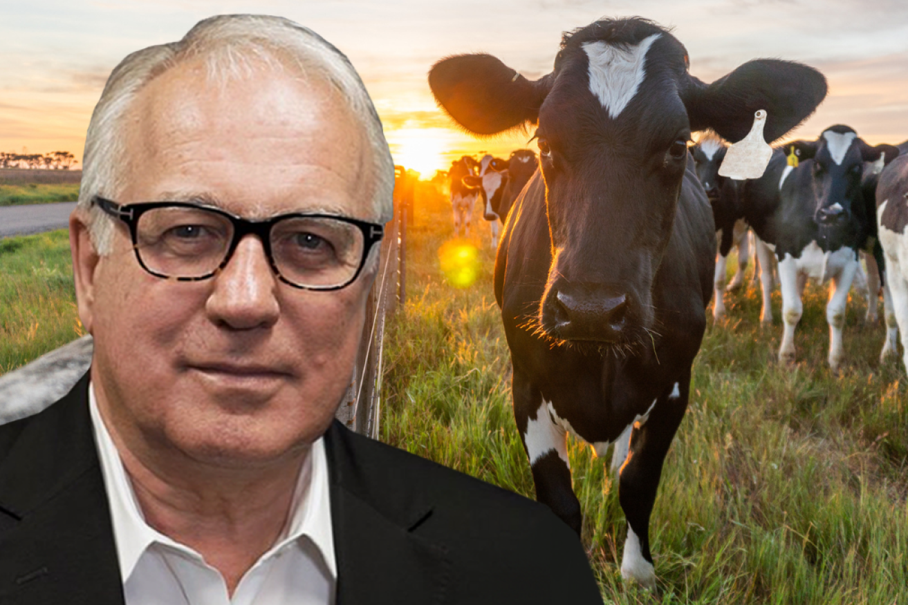 Human's beef consumption is a big problem for the environment.