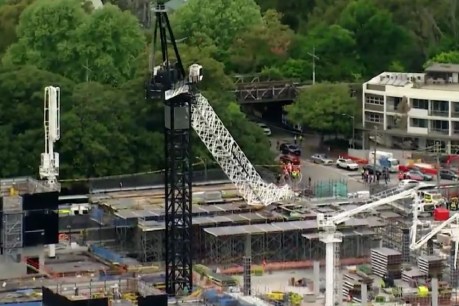 Huge crane crashes down on iconic Sydney site