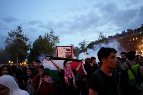 France uses tear gas on pro-Palestinian rally