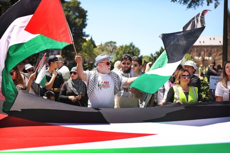 Calls for peace as crowds flock to pro-Palestine rallies across nation