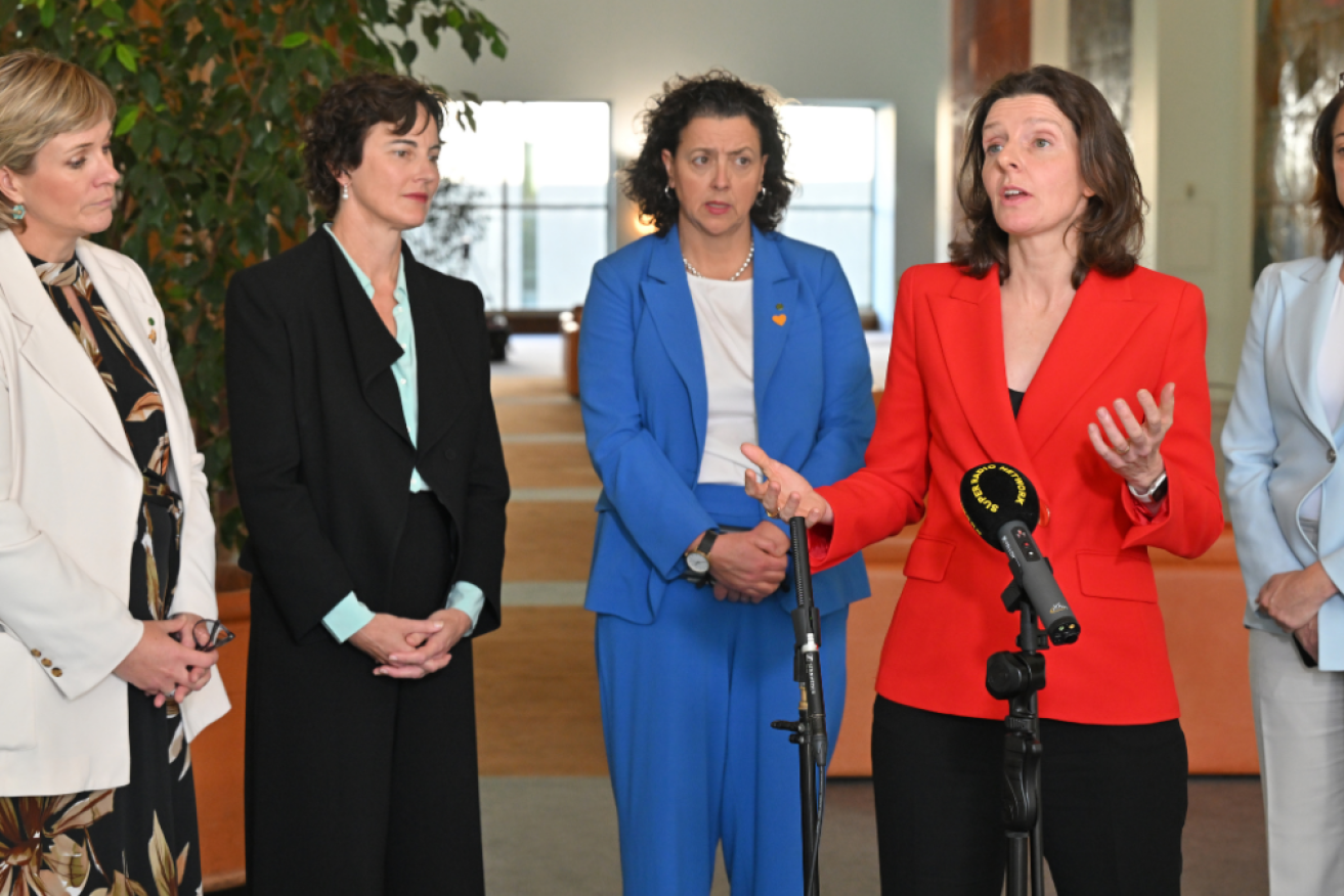 Climate 200 is supporting new candidates, those taking a second tilt and incumbent MPs. Photo: AAP