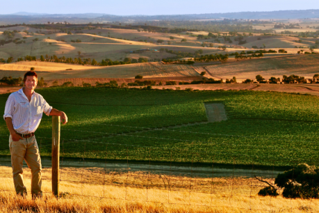 How to have a di-vine time in the Barossa Valley