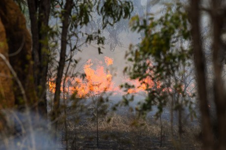 Residents flee their homes in central Queensland as house destroyed by fire