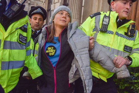UK police charge climate activist Greta Thunberg after London protest