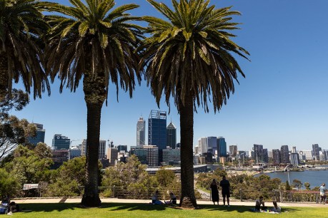 Fires in Perth’s Kings Park viewed as suspicious
