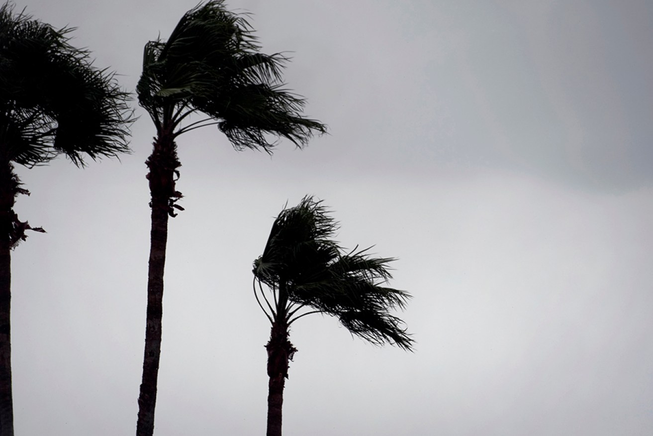 Tropical Cyclone Jasper is moving toward the Queensland coast, prompting the Bureau of Meteorology to contemplate the evacuation of a remote weather station.