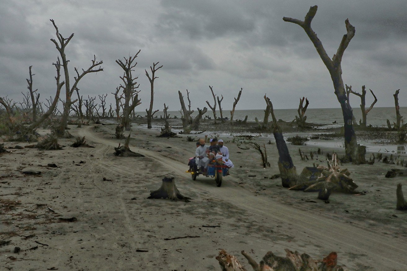 Climate change and the overuse of resources have put the world on the brink, the UN says. 