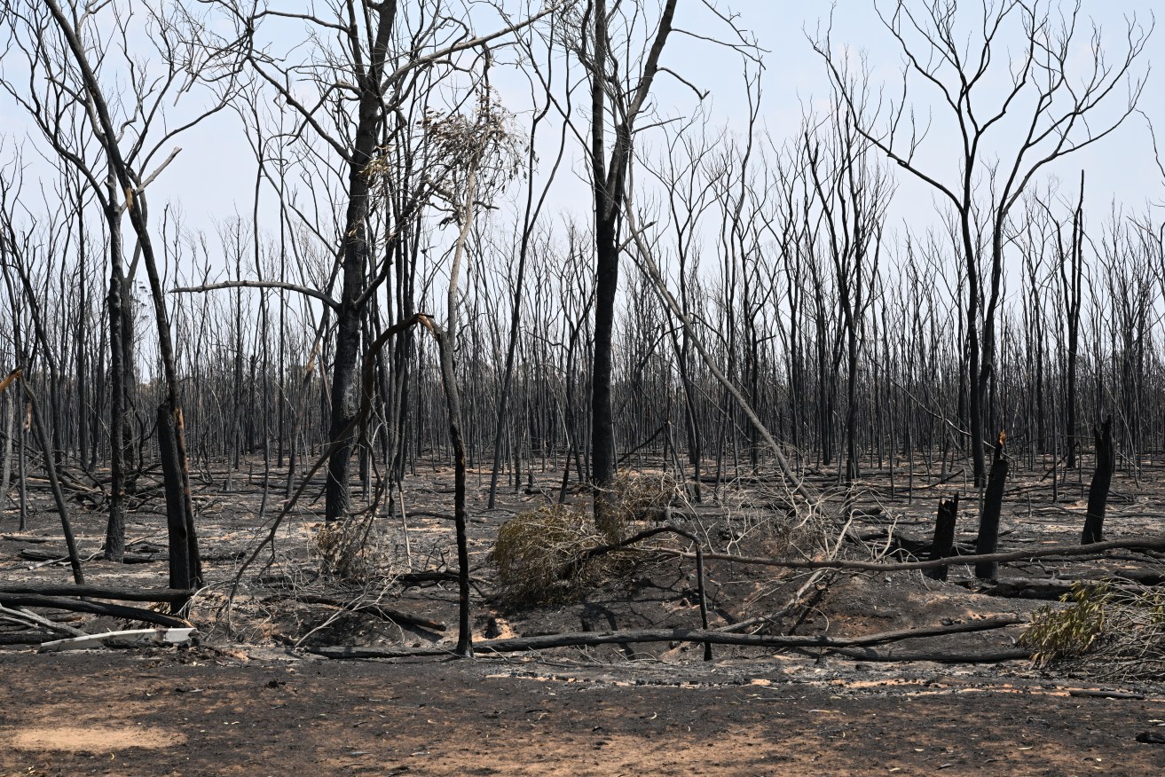 Emergency authorities in regional Western Australia are battling an out-of-control bushfire (file photo).