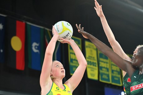 Diamonds wrap up Proteas series with 67-52 win in Hobart