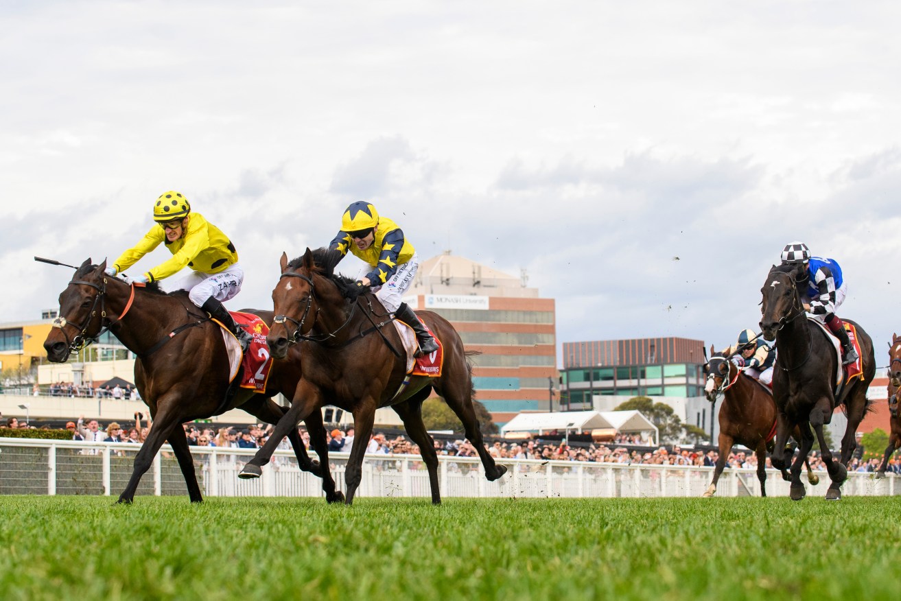 None of the Melbourne Cup favourites are Australian-bred horses.