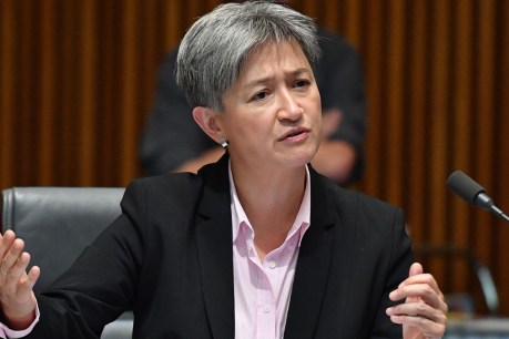 Foreign Minister Penny Wong calls on Israel to halt hospital strikes