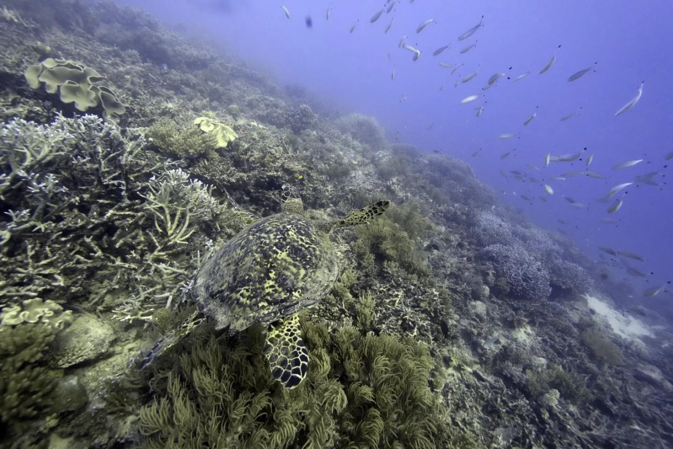 The laws will allow carbon dioxide to be stored under the seabed.