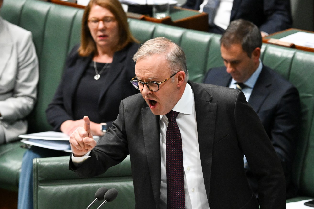 Anthony Albanese takes aim at Peter Dutton in Question Time on Wednesday. Photo: AAP