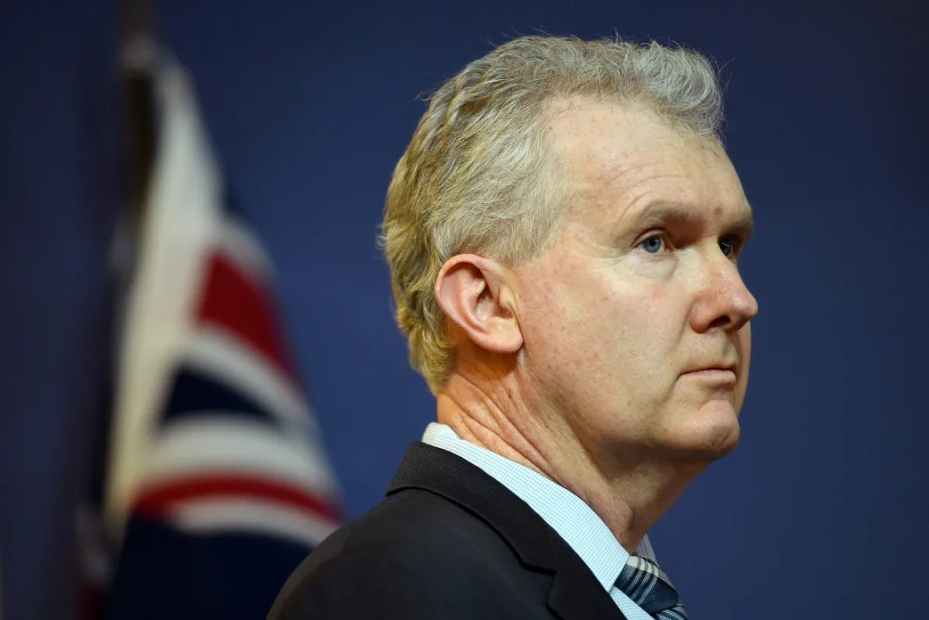 The pressure is on for Tony Burke, along with state and territory ministers, to ban engineered stone.