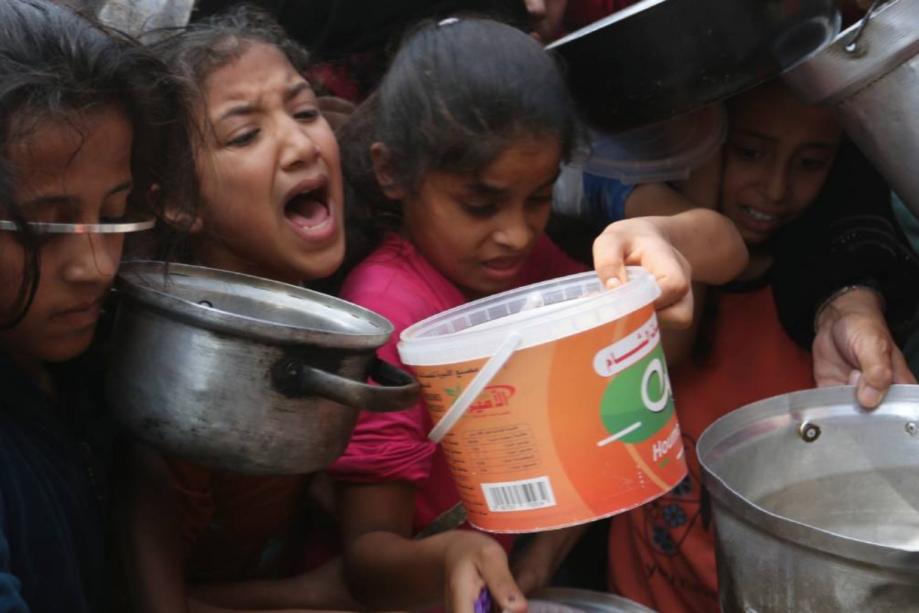The WFP says almost all of Gaza's population is in desperate need of food assistance. 