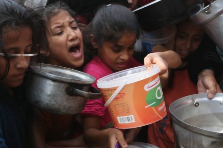 ‘Immediate possibility of starvation’ in Gaza