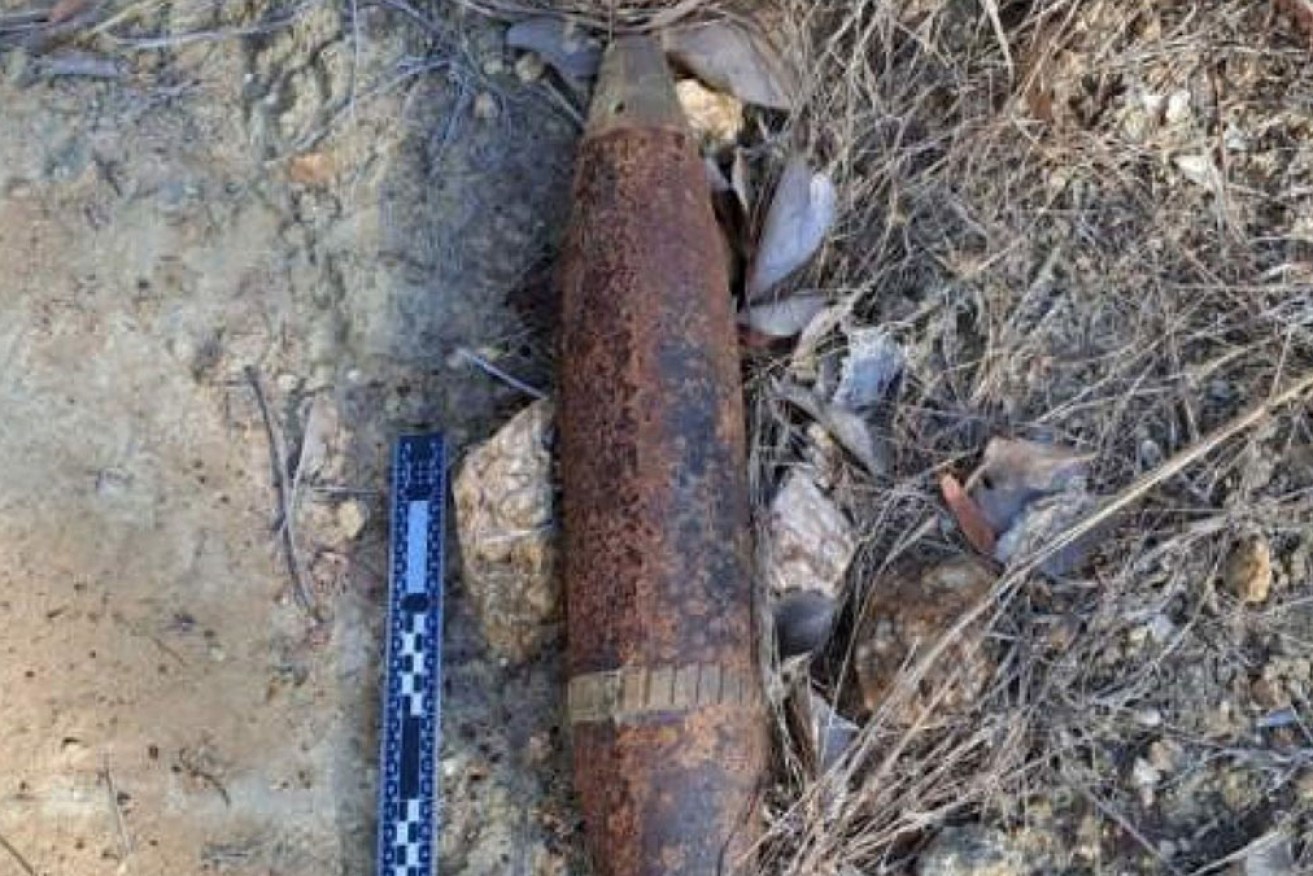 Three bombs from World War II have been round in Bilwon State Forest in Queensland. 