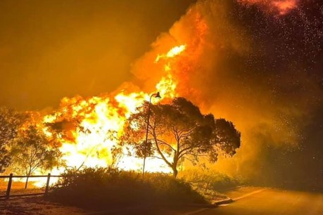 Widespread heightened summer bushfire risk: Report