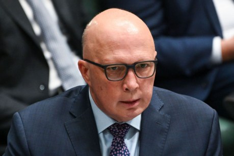 Dutton blasts govt's tax 'black hole'