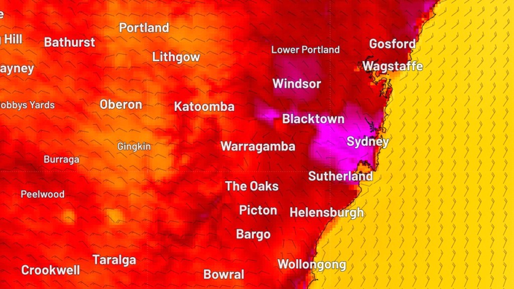 sydney heat island