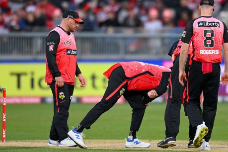 Melbourne Renegades BBL game against Perth Scorchers abandoned due to Geelong pitch