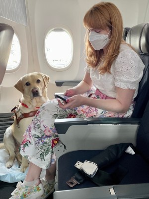 Travelling with a Guide Dog