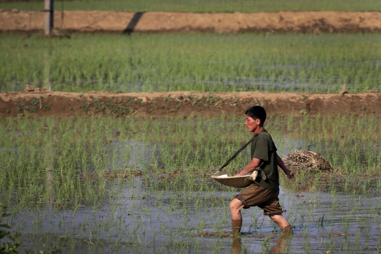 Climate change-related natural disasters have added to food insecurity around the world.