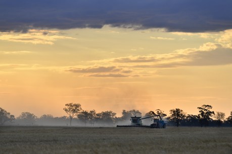 Rural Australians &#8216;crying out&#8217; as health gaps revealed