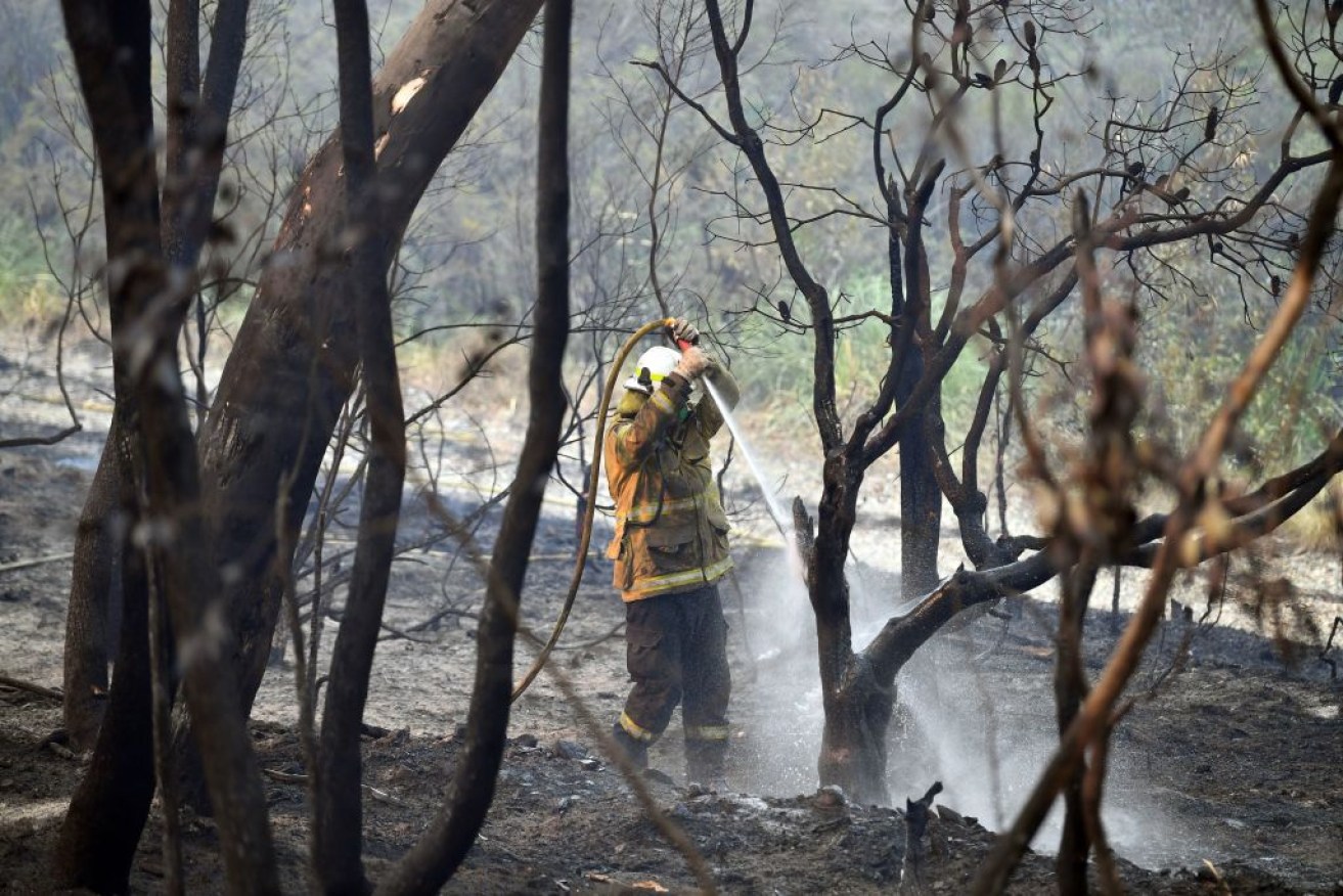 There were 62 bushfires burning in NSW on Monday, with 19 uncontained.