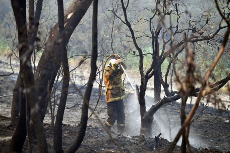 Huge bushfire rages near Narrabri