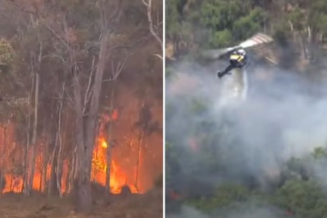 Fire-threatened WA town told to flee to the ocean