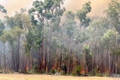 Perth suburbs burn amid fresh fire emergencies