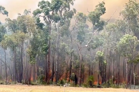 Perth suburbs burn amid fresh fire emergencies