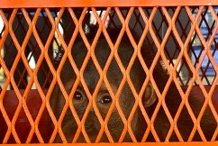 Thailand repatriates rescued orangutans to Indonesia