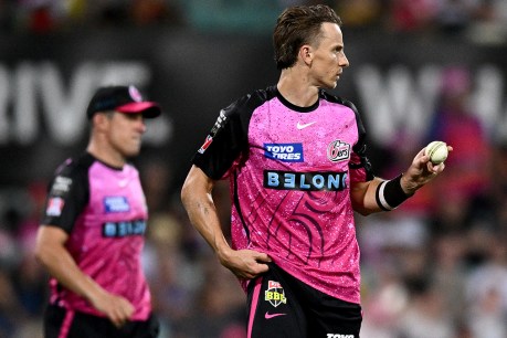 Sydney Sixers’ Tom Curran to fight BBL ban for intimidating umpire