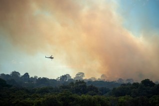 Campers evacuated as bushfire burns in Tasmania