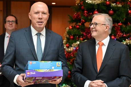 Leaders wish Australians a safe Christmas