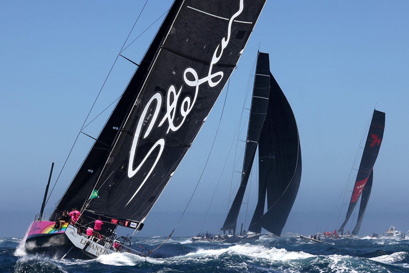 Stefan Racing has been extended and renamed Wild Thing for  the Sydney to Hobart yacht race. 