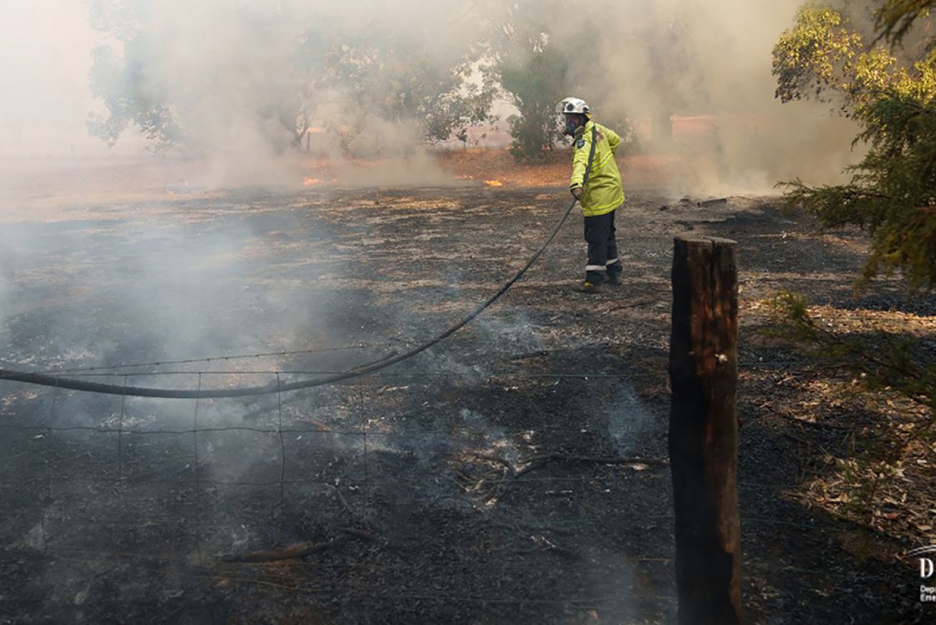 Firefighters in Western Australia have battled dozens of blazes across the state.