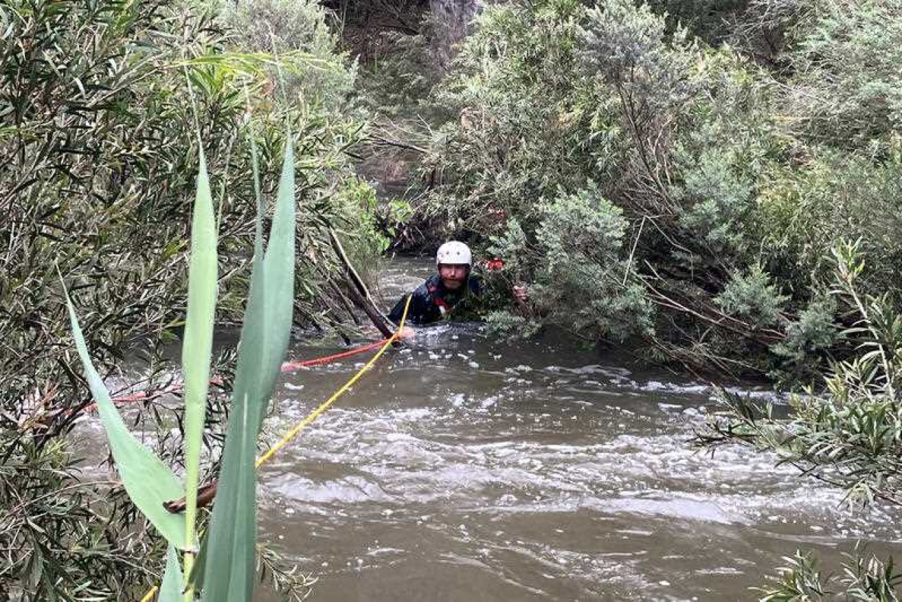 Madi was clutching a tree in the fast-moving Werribee River.