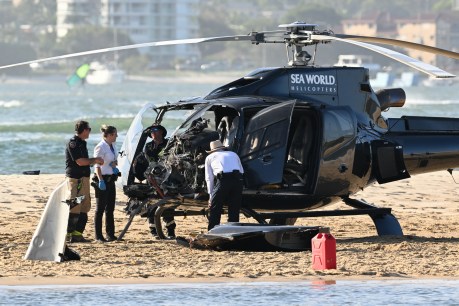 &#8216;Low level&#8217; cocaine in fatal Sea World crash pilot