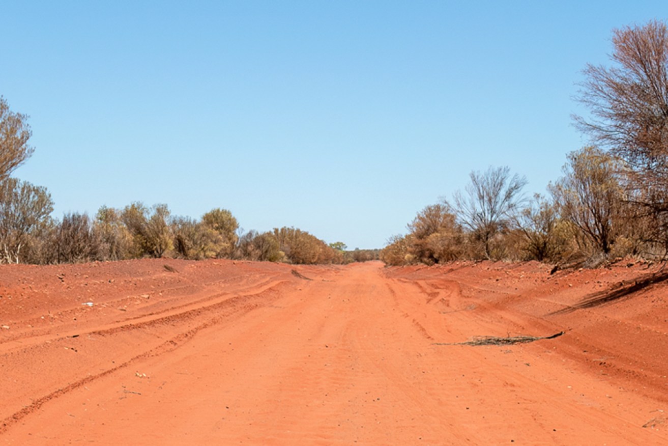 A woman found the body of a 19-year-old man on an unsealed road outside Alice Springs.